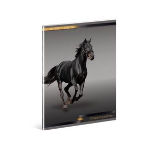   Lovas/Horse - Fekete ló prémium kockás füzet, A4 - Ars Una 