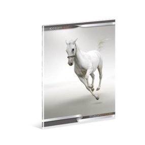   Lovas/Horse - Fehér ló prémium kockás füzet, A4 - Ars Una 