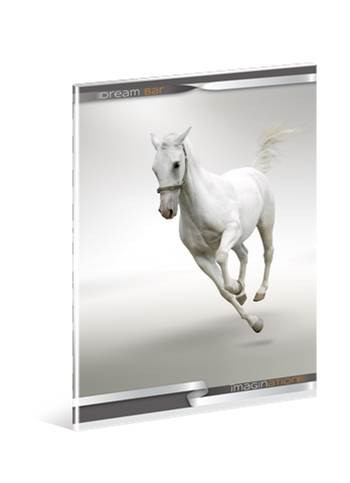 Lovas/Horse - Fehér ló prémium kockás füzet, A4 - Ars Una 