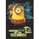 Minions Survival 1. osztályos vonalas füzet (A5/14-32)