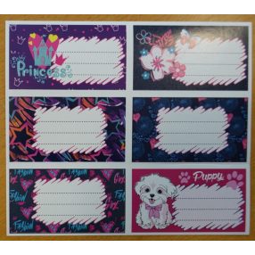 PULSE Girls füzetcímke, 30 db-os (6x5 ív)