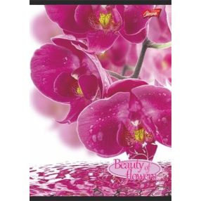 Virág - Flowers A4 kockás füzet, Orchidea