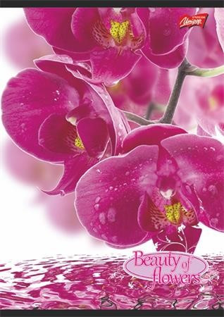 Virág - Flowers A4 kockás füzet, Orchidea