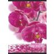 Virág - Flowers A4 kockás füzet, Orchidea