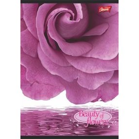 Virág - Flowers A4 kockás füzet, Pink rózsa
