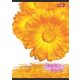 Virág - Flowers A4 kockás füzet, Sárga Virág