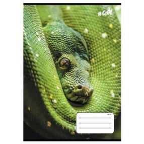   Állatos COOL BY VICTORIA Kígyó 1. osztályos vonalas füzet (A5/14-32)