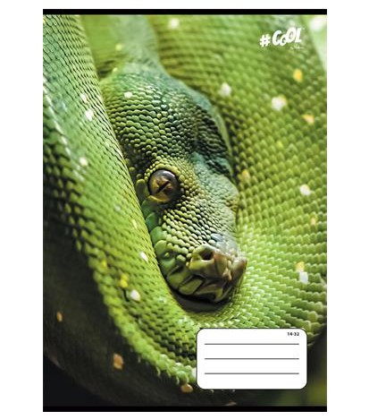 Állatos COOL BY VICTORIA Kígyó 1. osztályos vonalas füzet (A5/14-32)
