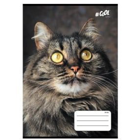   Állatos COOL BY VICTORIA Cica 1. osztályos vonalas füzet (A5/14-32)