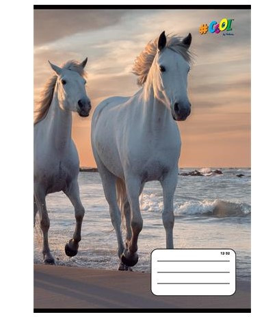 Állatos COOL BY VICTORIA Lovak 3. osztályos vonalas füzet (A5/14-32)