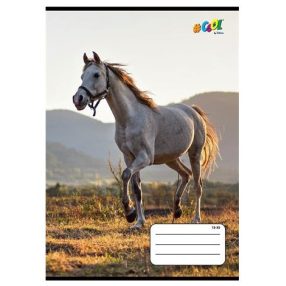   Állatos COOL BY VICTORIA Ló 3. osztályos vonalas füzet (A5/14-32)