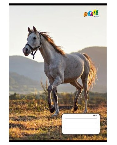 Állatos COOL BY VICTORIA Ló 3. osztályos vonalas füzet (A5/14-32)