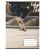 Sport COOL BY VICTORIA Skateboard vonalas füzet (A5/21-32)