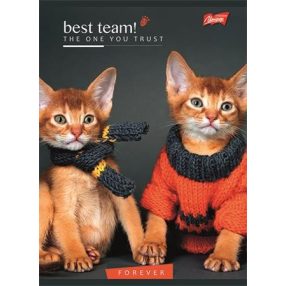 Állatos Cica 2. osztályos vonalas füzet (A5/16-32)