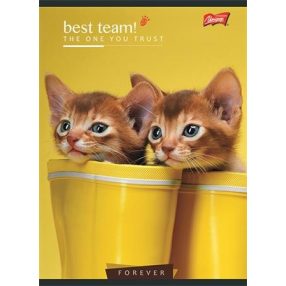 Állatos Cica 2. osztályos vonalas füzet (A5/16-32)