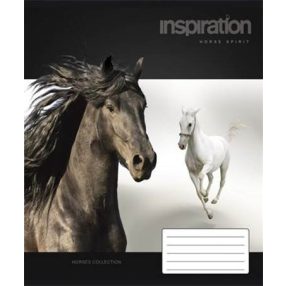   Állatos - Lovas, fekete ló 1. osztályos vonalas füzet, A5/14-32