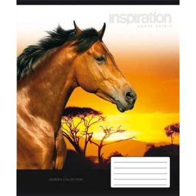   Állatos Lovas Naplemente 2. osztályos vonalas füzet (A5/16-32)