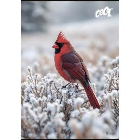 Állatos - Little Bird Snow kockás füzet (A4/87-32)