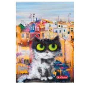   City - Crazy Cats Fekete cica kockás füzet, (A5/60) FÓLIÁS fedlappal!