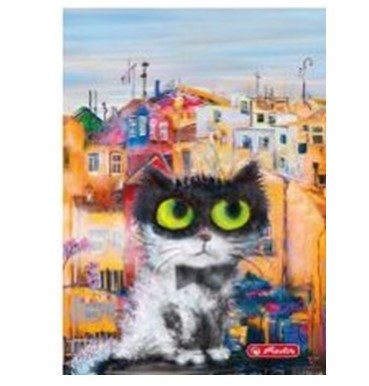 City - Crazy Cats Fekete cica kockás füzet, (A5/60) FÓLIÁS fedlappal!