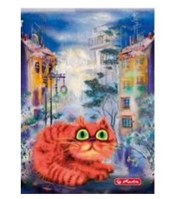 City - Crazy Cats Narancs cica kockás füzet, (A5/60) FÓLIÁS fedlappal!