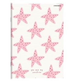 Hamelin kockás füzet, Csillag (A4/87-32)
