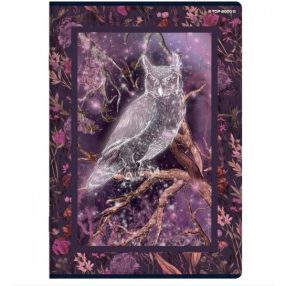   Állatos Fairy Tail Story füzet, Bagoly, kockás (A5/60 lap)