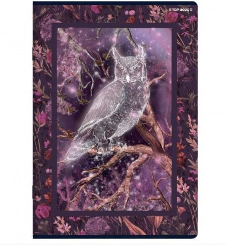 Állatos Fairy Tail Story füzet, Bagoly, kockás (A5/60 lap)