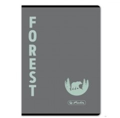 Terra kockás füzet, A4, Forest