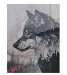 Gumis mappa, A4, Wild-Wolf/Farkas - Herlitz