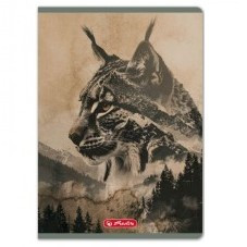 Állatos Herlitz felsős vonalas füzet, Into The Wild, Hiúz (A5/21-32)