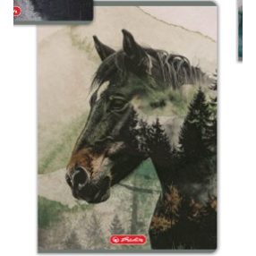   Herlitz felsős vonalas füzet, Into The Wild, Ló (A5/12-32)