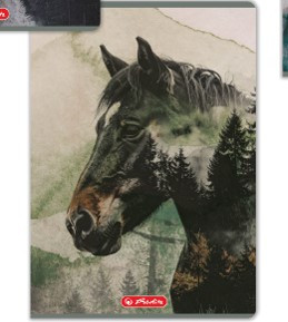 Herlitz felsős vonalas füzet, Into The Wild, Ló (A5/12-32)