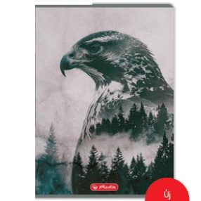   Herlitz felsős vonalas füzet, Into The Wild, Sas (A5/12-32)