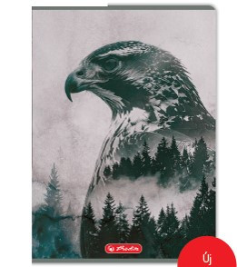 Herlitz felsős vonalas füzet, Into The Wild, Sas (A5/12-32)
