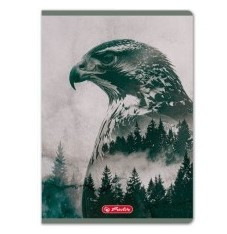 Állatos Herlitz felsős vonalas füzet, Into The Wild, Sas (A5/21-32)