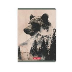 Herlitz sima füzet, Into The Wild, Medve, A5/20-32