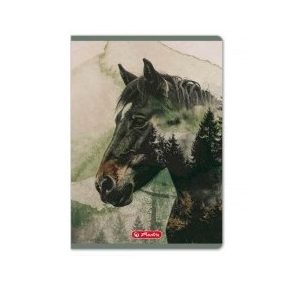   Állatos Herlitz - Into the Wild Ló kockás füzet (A5/32 lap)