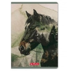 Állatos Herlitz - Into the Wild Ló kockás füzet (A5/32 lap)