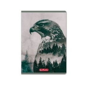   Állatos Herlitz - Into the Wild Sas kockás füzet (A5/32 lap)