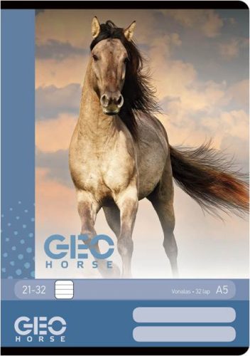 Lovas/Horse - Geo Kék A4 kockás füzet 