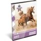 Lovas/Horse - Kiscsikós A4 kockás füzet 