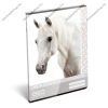 Horse/fehér Lovas A4 kockás füzet Horse/fehér Lovas A4 kockás füzet