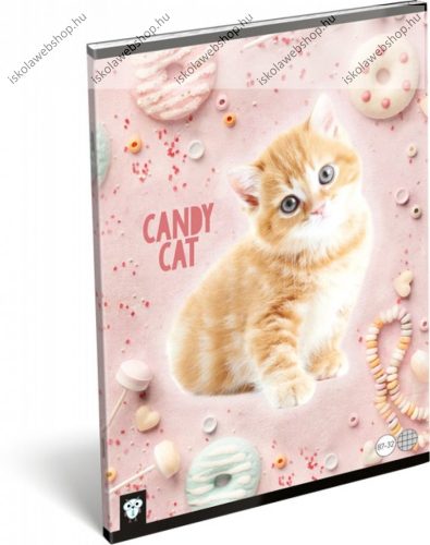 Cicás/Candy cat A4 kockás füzet