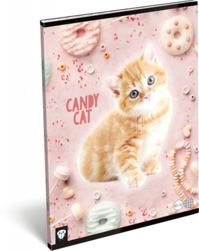 Állatos - Cicás/Candy cat A4 kockás füzet