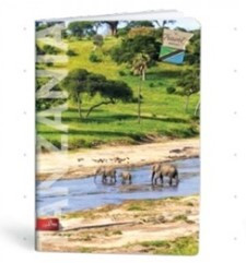 City Travel A4 kockás füzet, Elefánt (1 db)