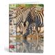 City Travel A4 kockás füzet, Zebra (1 db)