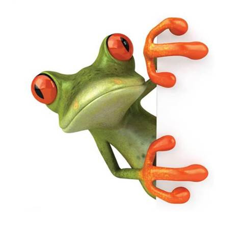 Állatos - Béka 1. sztályos vonalas füzet, A5/14-32