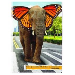 Nature - Elefánt és lepke kockás füzet, A/4 