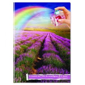 Nature - Szivárvány és levendula kockás füzet, A/4 